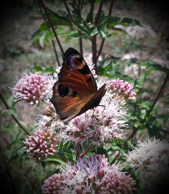 Natur erleben Natur erleben