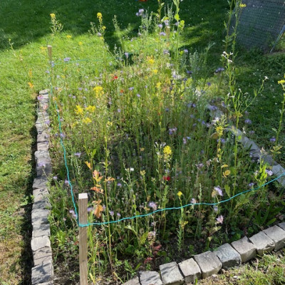 Kinderblumenbeet